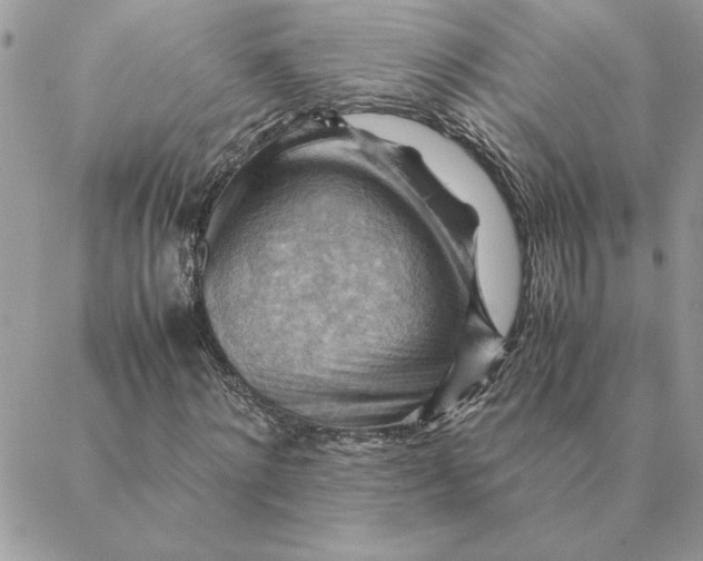 X0000088600868200706151759