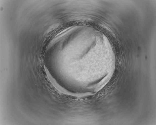 X0000088600869200706151759