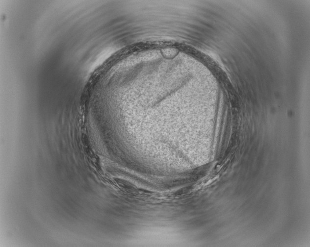 X0000088600871200706151759