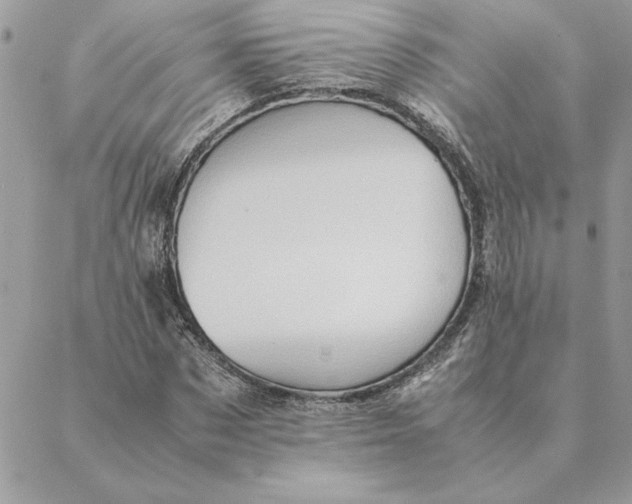 X0000088600873200706151759