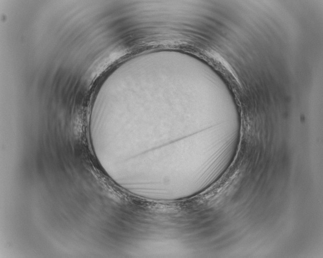 X0000088600874200706151759