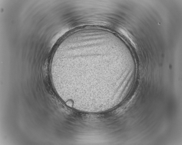 X0000088600875200706151759