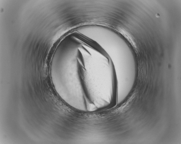 X0000088600876200706151759