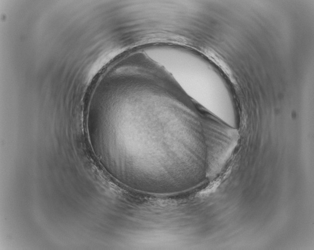 X0000088600877200706151759