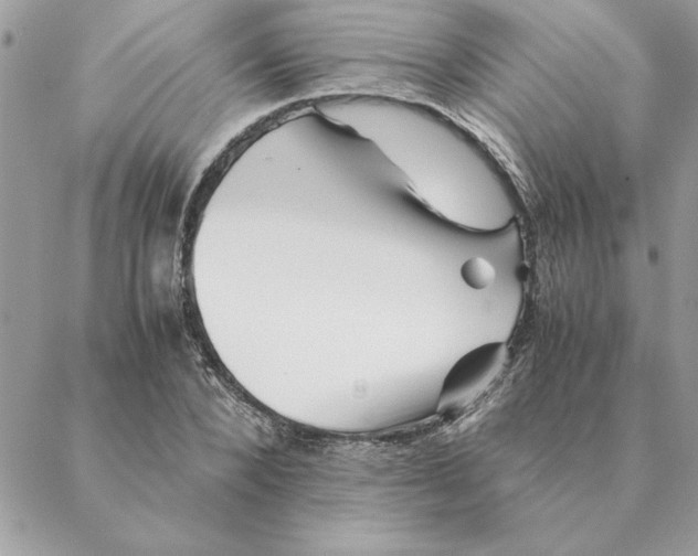 X0000088600880200706151759