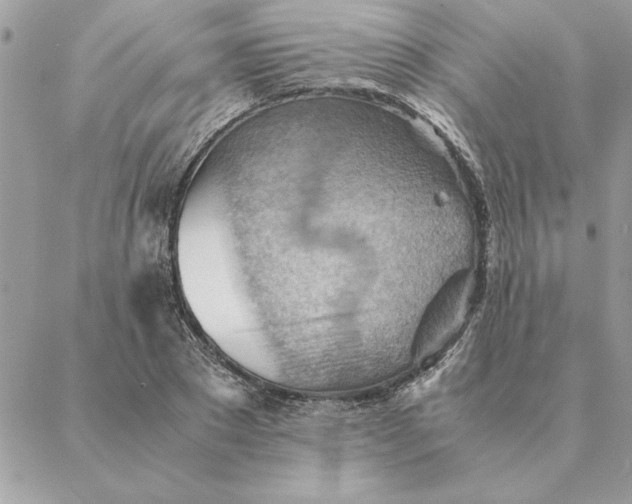 X0000088600881200706151759