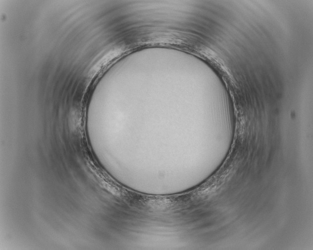 X0000088600882200706151759