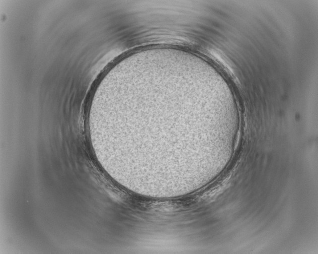 X0000088600883200706151758