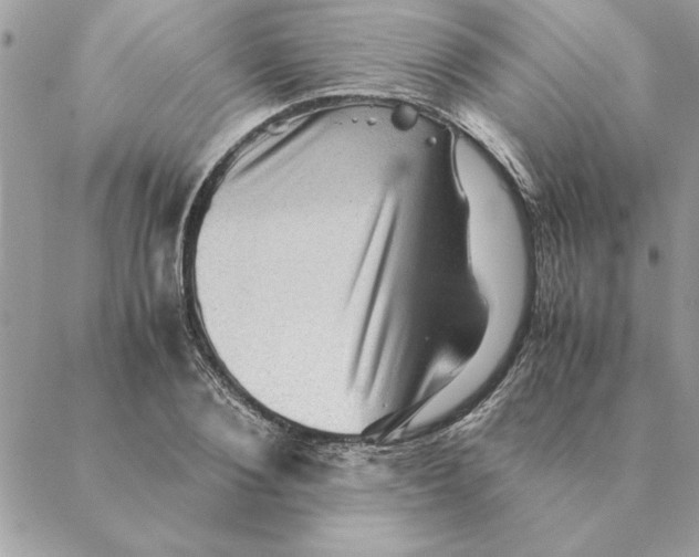 X0000088600884200706151758