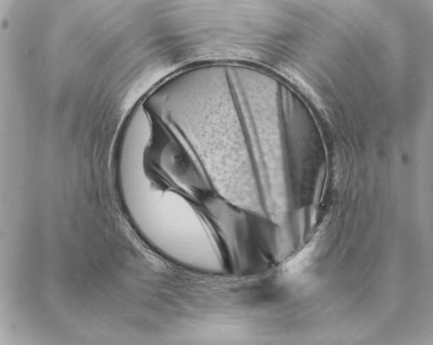 X0000088600885200706151758