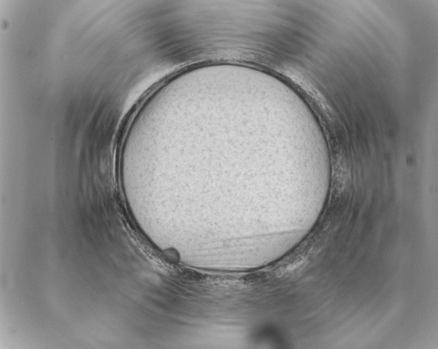 X0000088600886200706151758