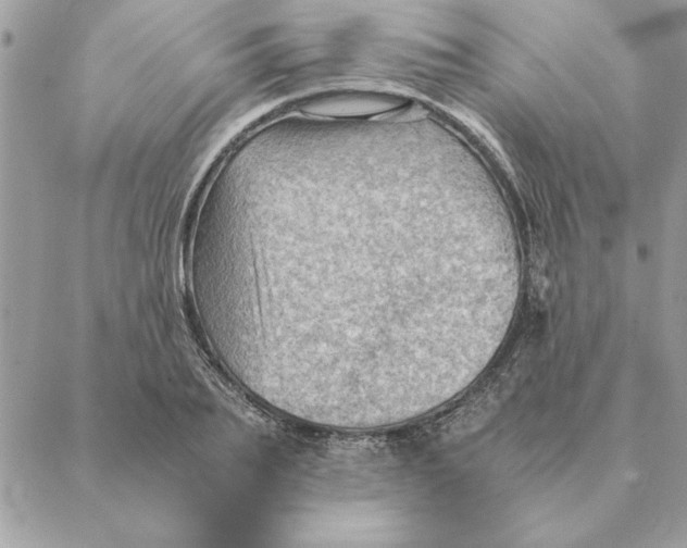 X0000088600887200706151758