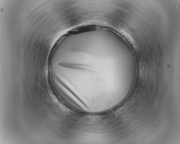 X0000088600888200706151758