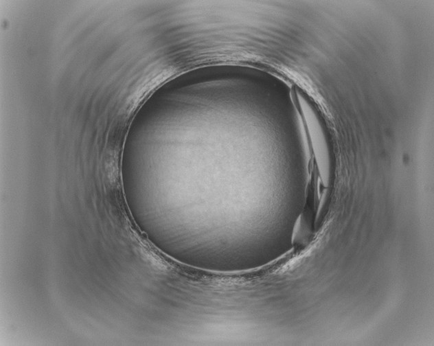 X0000088600889200706151758