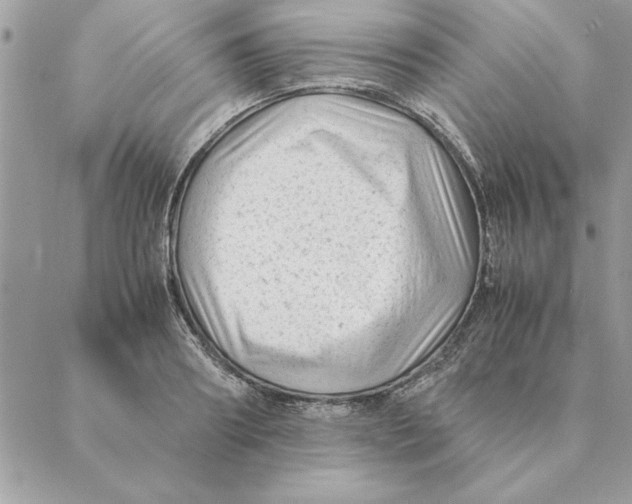 X0000088600890200706151758