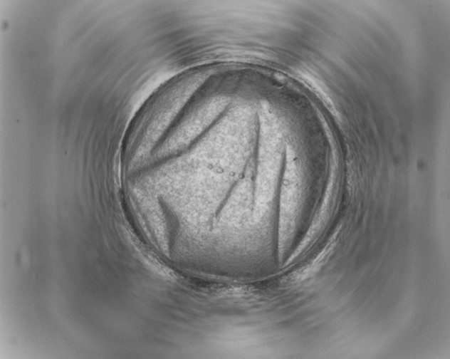 X0000088600891200706151758