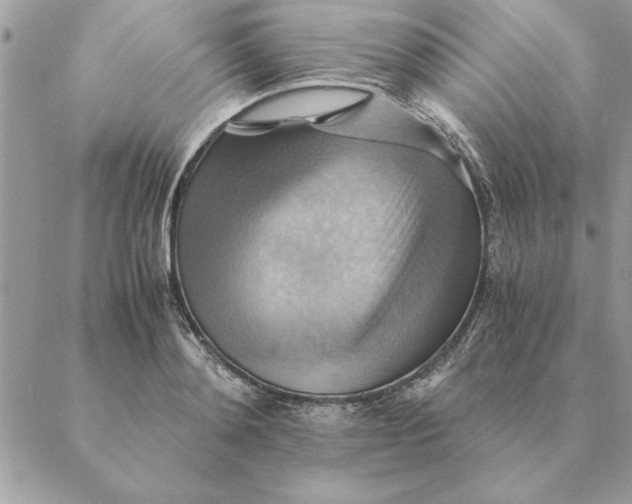 X0000088600892200706151758