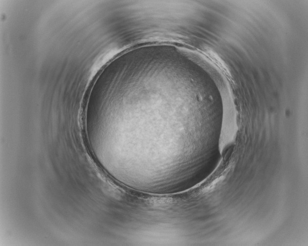 X0000088600893200706151758