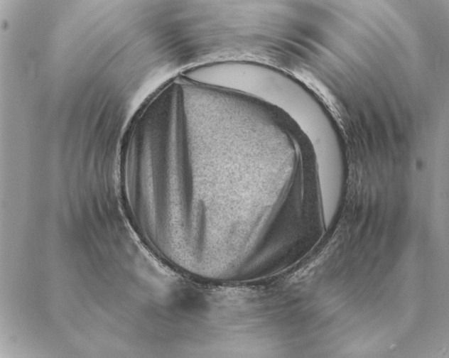 X0000088600894200706151758