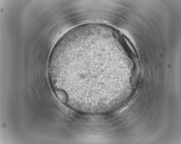 X0000088600895200706151758