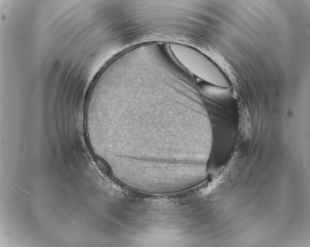 X0000088600896200706151758