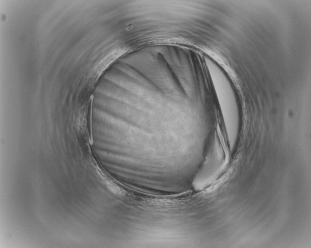 X0000088600897200706151758