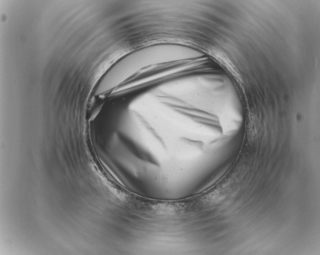 X0000088600898200706151758