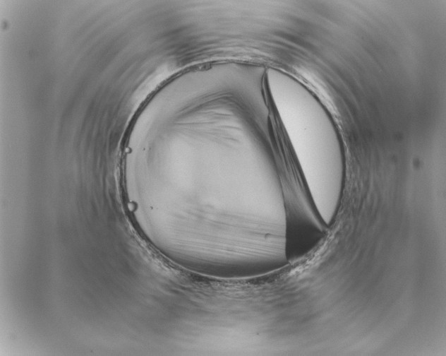 X0000088600899200706151758