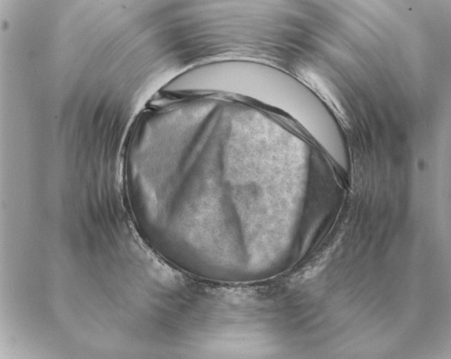 X0000088600900200706151758