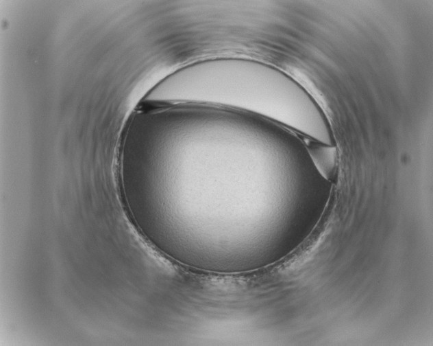 X0000088600901200706151758