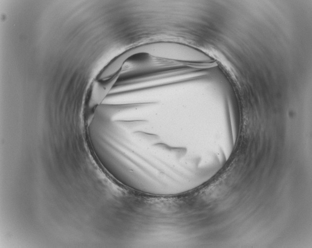 X0000088600902200706151758