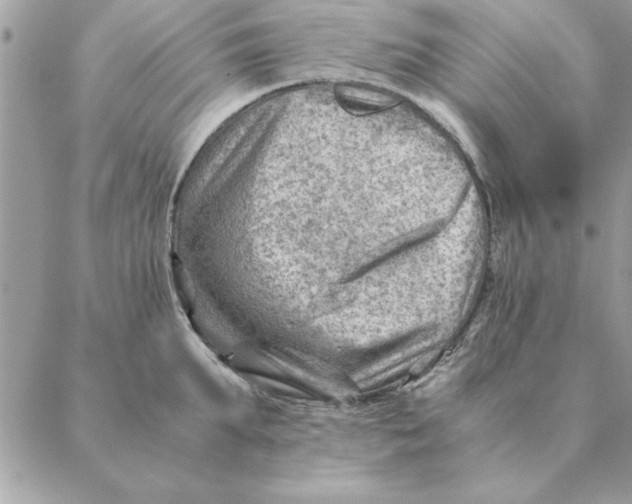 X0000088600903200706151758