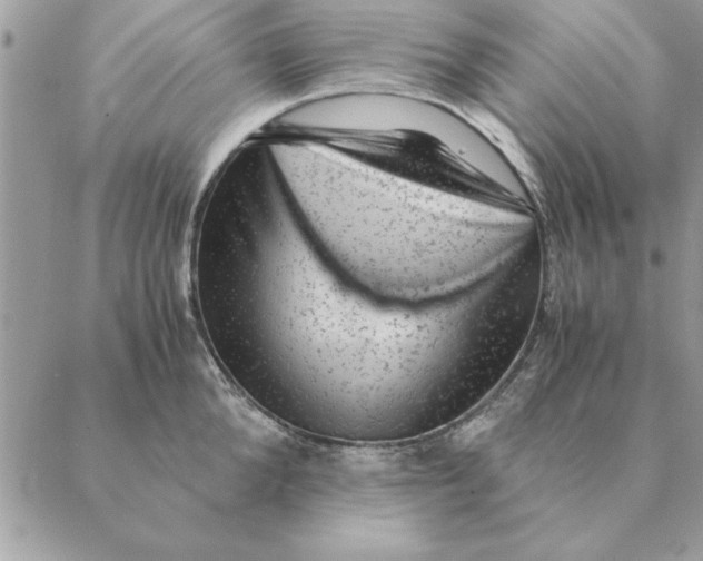 X0000088600904200706151758