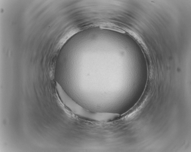 X0000088600905200706151758