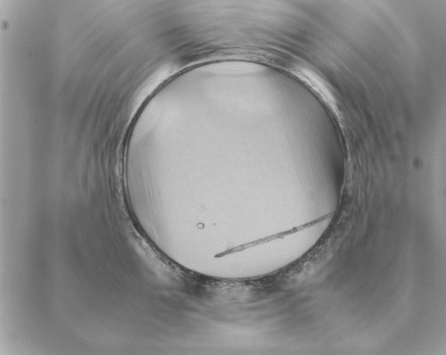 X0000088600907200706151758