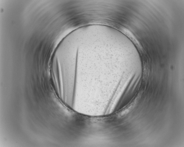 X0000088600908200706151758