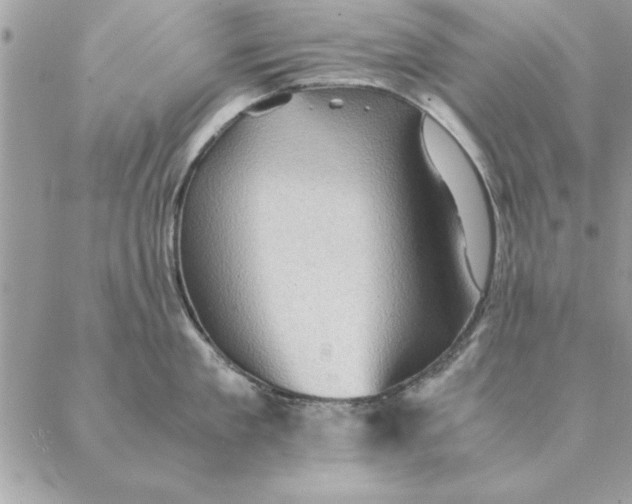 X0000088600909200706151758