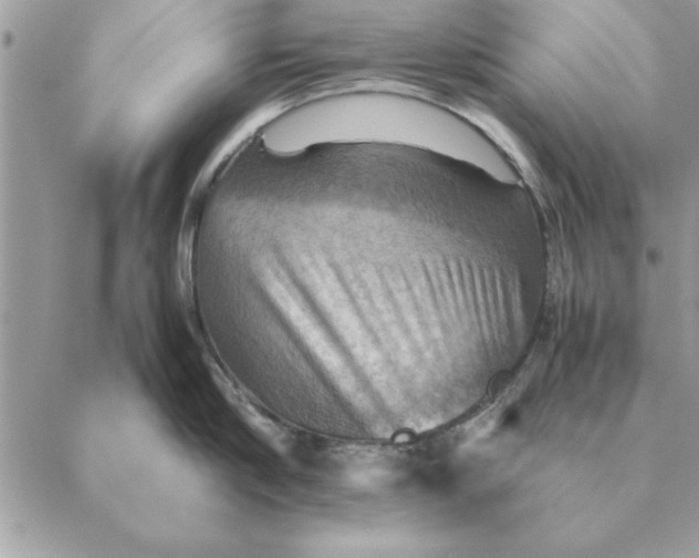 X0000088600910200706151758