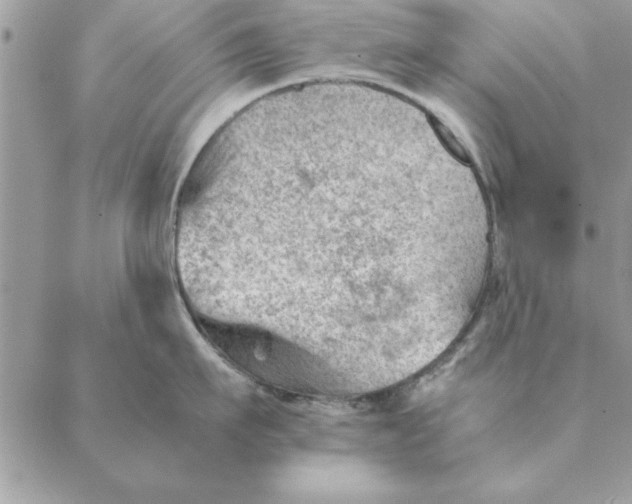 X0000088600911200706151758