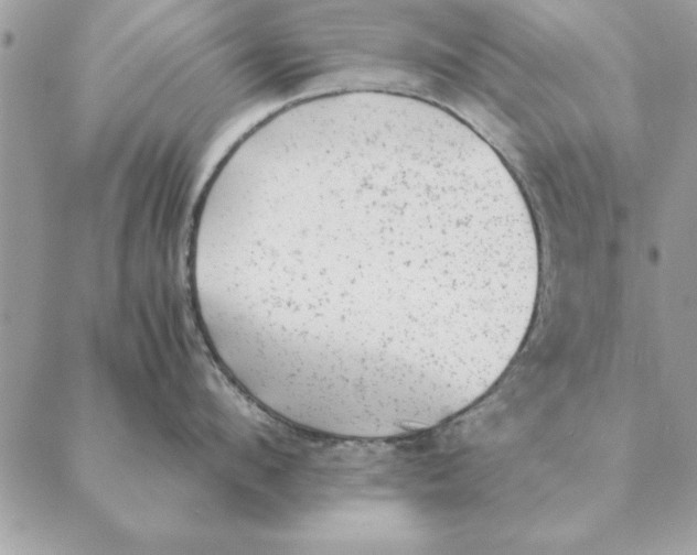 X0000088600912200706151758