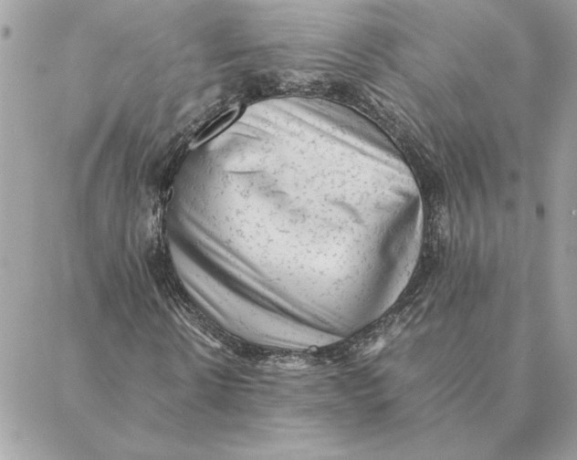 X0000088600914200706151757