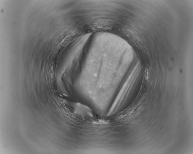 X0000088600915200706151757