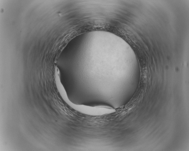 X0000088600916200706151757