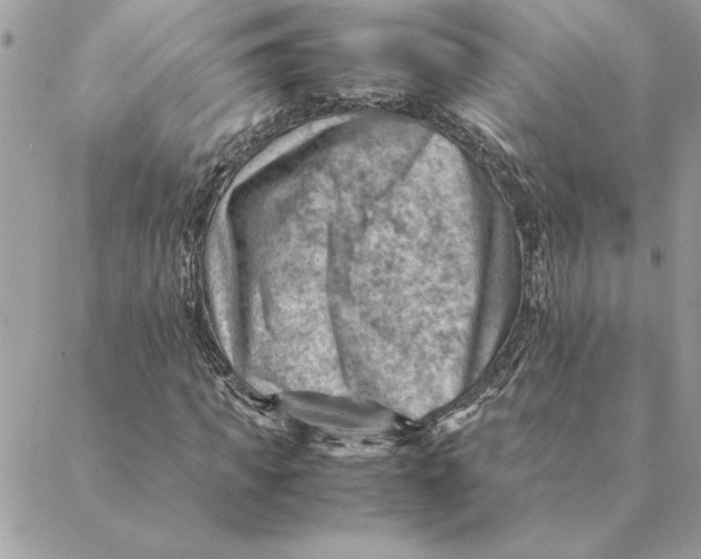 X0000088600917200706151757