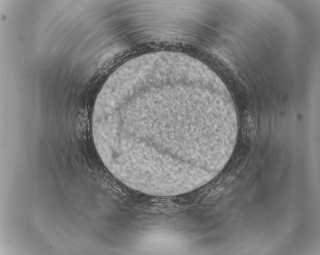 X0000088600918200706151757