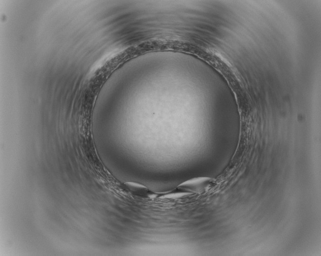 X0000088600919200706151757