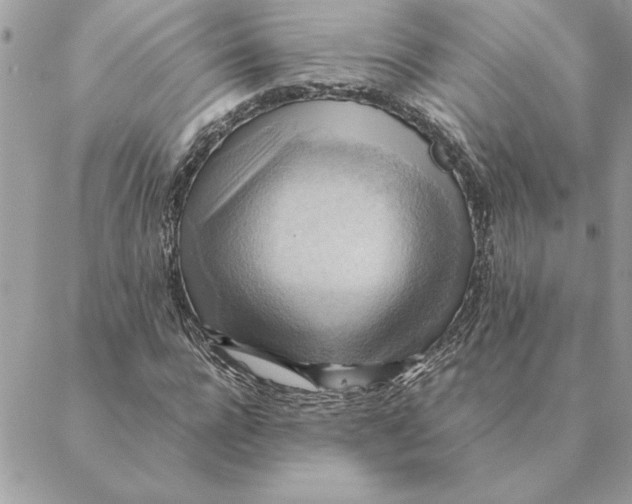 X0000088600920200706151757