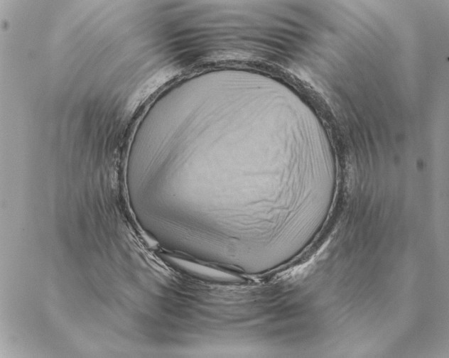 X0000088600921200706151757