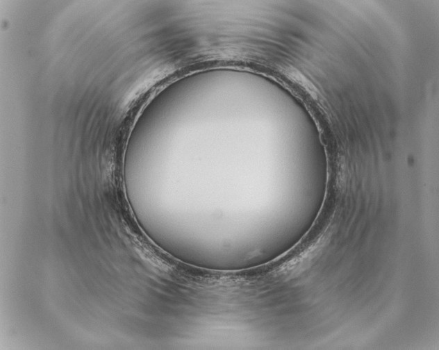 X0000088600922200706151757