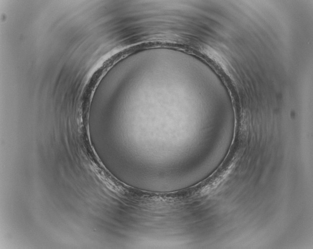 X0000088600923200706151757